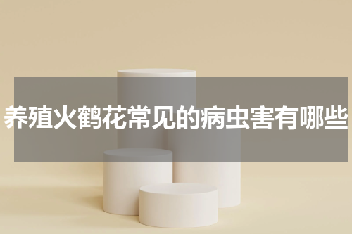 养殖火鹤花常见的病虫害有哪些