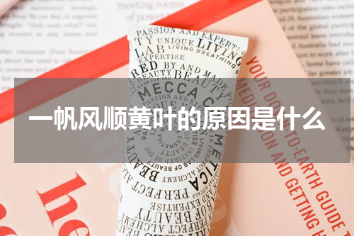 一帆风顺黄叶的原因是什么