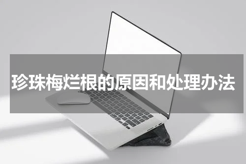 珍珠梅烂根的原因和处理办法