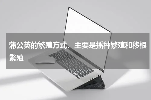 蒲公英的繁殖方式，主要是播种繁殖和移根繁殖