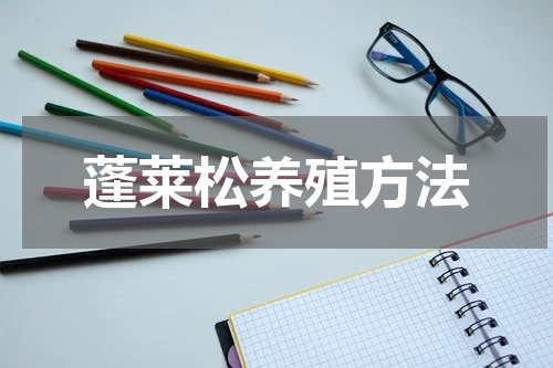 蓬莱松养殖方法