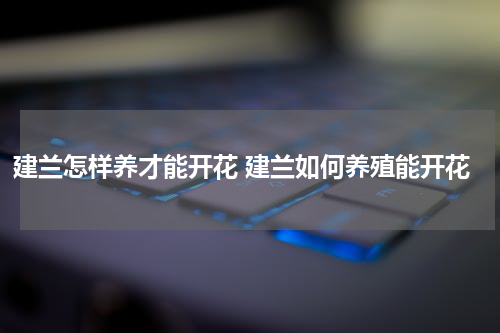 建兰怎样养才能开花 建兰如何养殖能开花