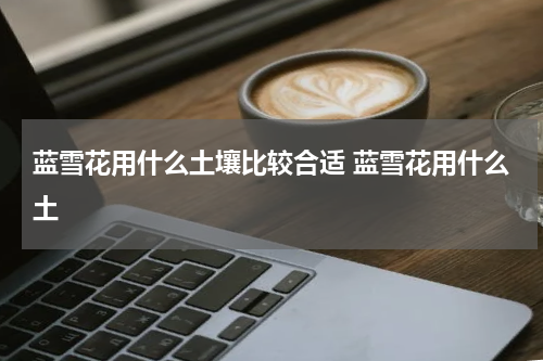 蓝雪花用什么土壤比较合适 蓝雪花用什么土