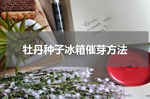 牡丹种子冰箱催芽方法