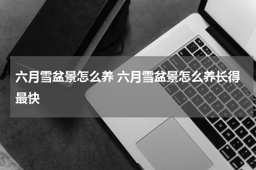 六月雪盆景怎么养 六月雪盆景怎么养长得最快