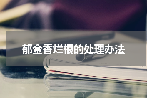 郁金香烂根的处理办法