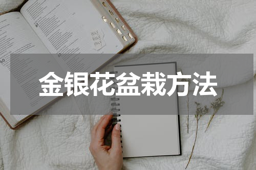 金银花盆栽方法