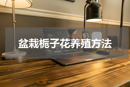 盆栽栀子花养殖方法