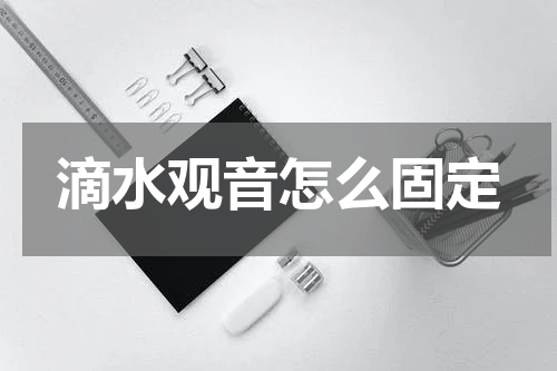 滴水观音怎么固定