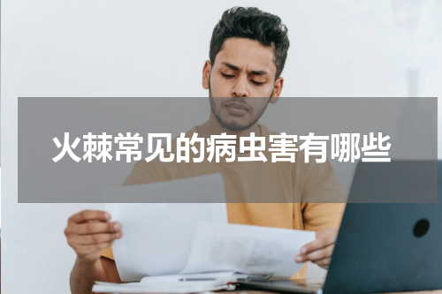火棘常见的病虫害有哪些