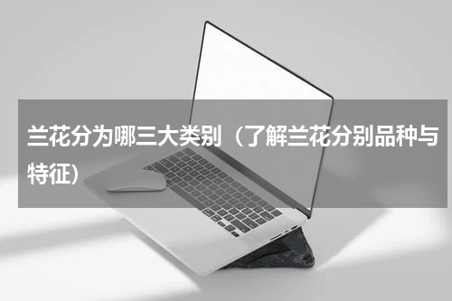 兰花分为哪三大类别（了解兰花分别品种与特征）