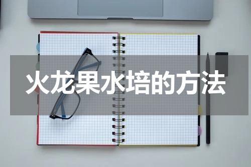 火龙果水培的方法