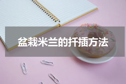 盆栽米兰的扦插方法