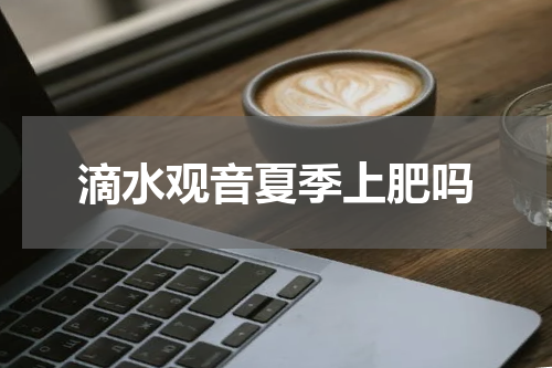 滴水观音夏季上肥吗