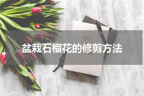 盆栽石榴花的修剪方法