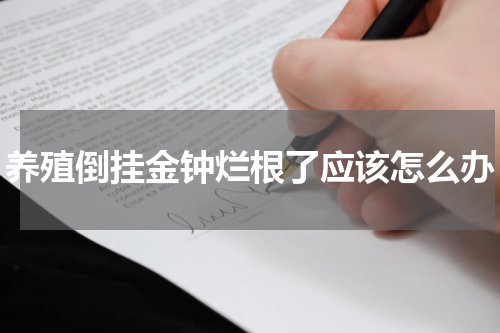 养殖倒挂金钟烂根了应该怎么办