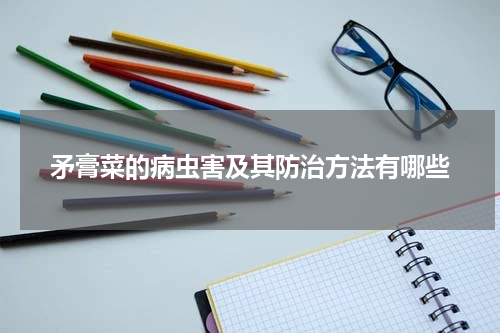 矛膏菜的病虫害及其防治方法有哪些