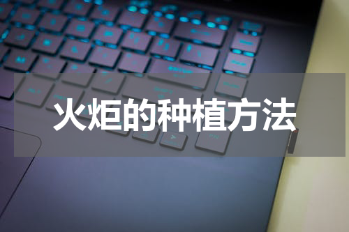火炬的种植方法