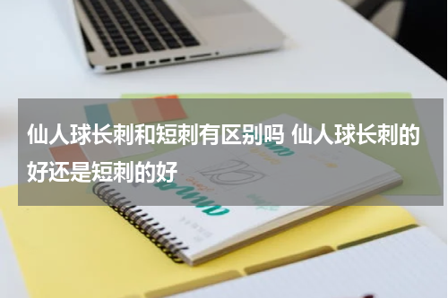 仙人球长刺和短刺有区别吗 仙人球长刺的好还是短刺的好