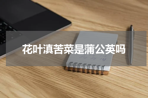 花叶滇苦菜是蒲公英吗