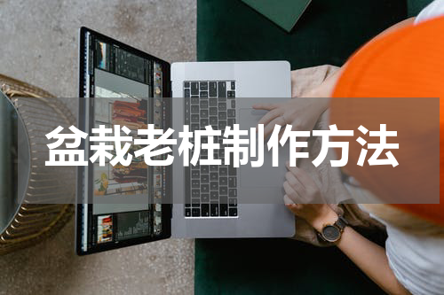 盆栽老桩制作方法