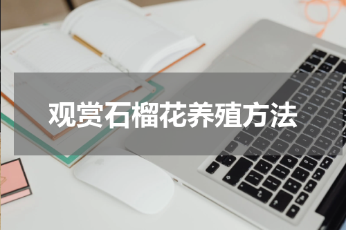 观赏石榴花养殖方法