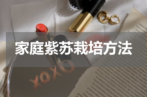 家庭紫苏栽培方法