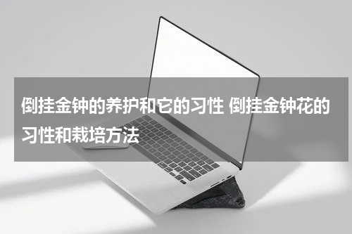 倒挂金钟的养护和它的习性 倒挂金钟花的习性和栽培方法