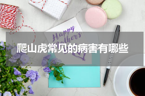爬山虎常见的病害有哪些