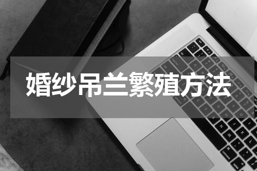 婚纱吊兰繁殖方法