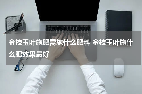 金枝玉叶施肥需施什么肥料 金枝玉叶施什么肥效果最好