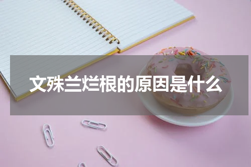 文殊兰烂根的原因是什么