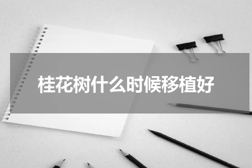 桂花树什么时候移植好