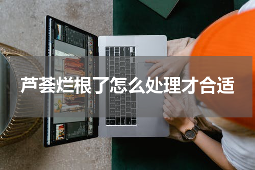 芦荟烂根了怎么处理才合适
