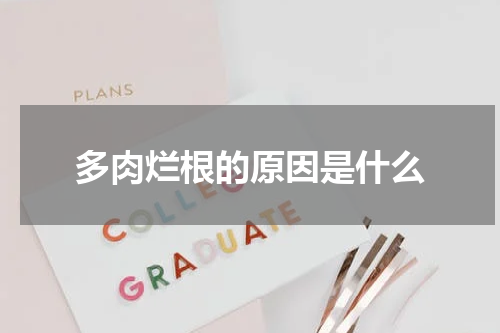 多肉烂根的原因是什么