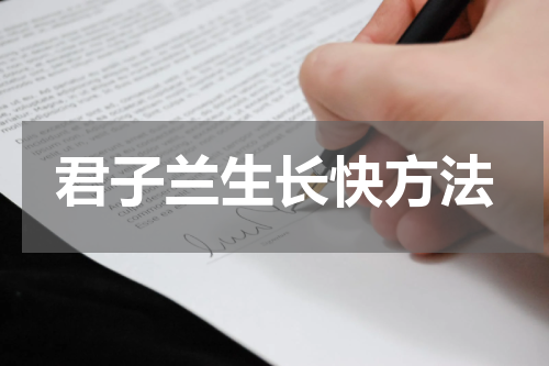 君子兰生长快方法