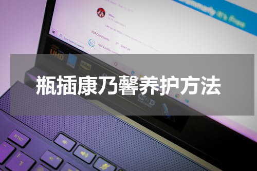 瓶插康乃馨养护方法