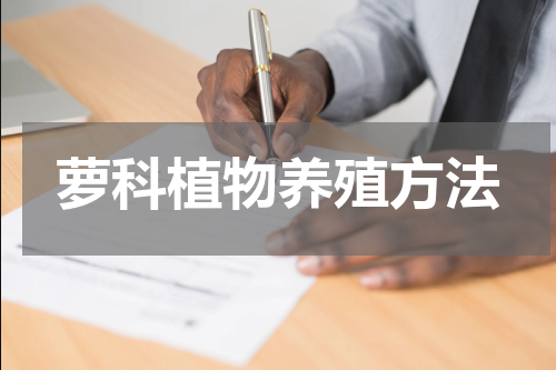 萝科植物养殖方法