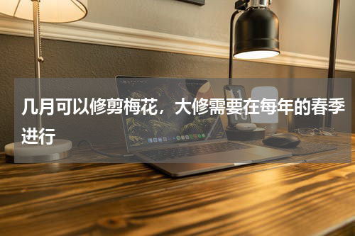 几月可以修剪梅花，大修需要在每年的春季进行