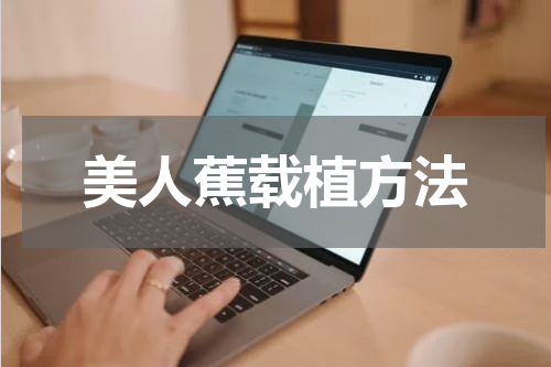美人蕉载植方法
