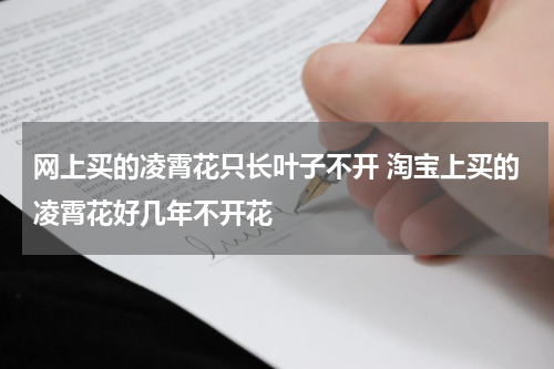 网上买的凌霄花只长叶子不开 淘宝上买的凌霄花好几年不开花