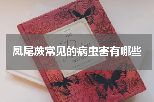 凤尾蕨常见的病虫害有哪些