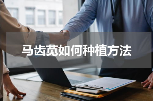 马齿苋如何种植方法