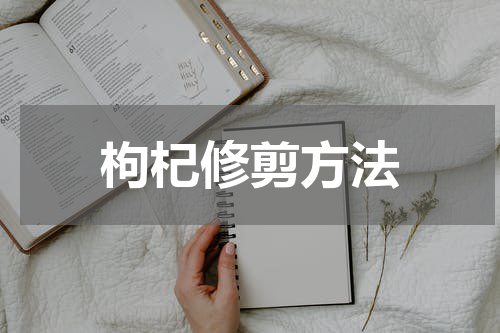 枸杞修剪方法
