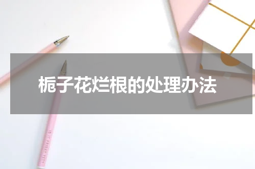 栀子花烂根的处理办法