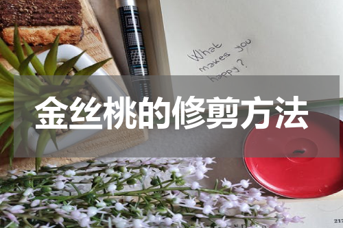 金丝桃的修剪方法