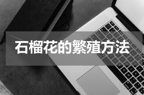 石榴花的繁殖方法