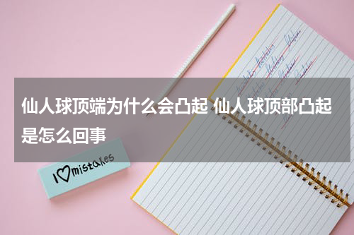仙人球顶端为什么会凸起 仙人球顶部凸起是怎么回事
