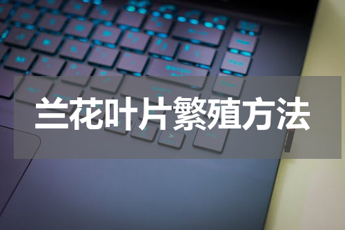 兰花叶片繁殖方法