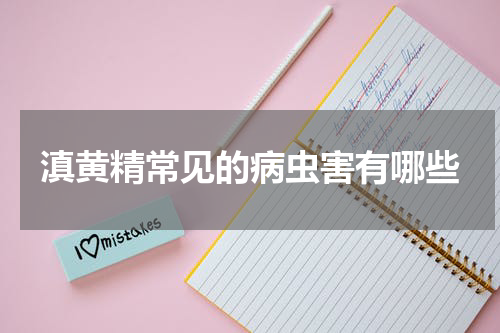滇黄精常见的病虫害有哪些
